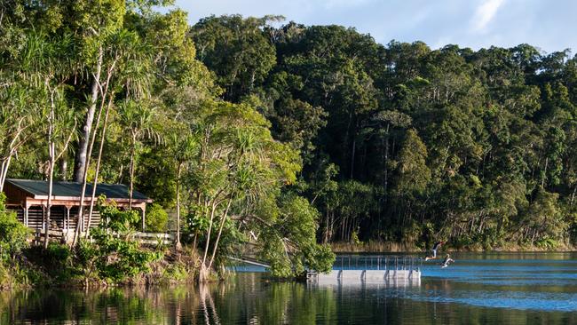 Family jumping into Lake Eacham from the jetty. Photo: TNQ