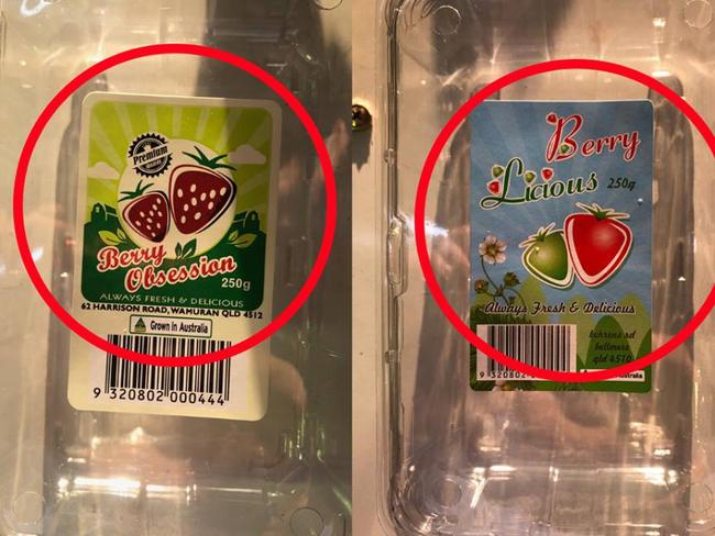 Two of the strawberry brands involved in the contamination cases. Picture: Queensland Strawberry Growers Association/Facebook