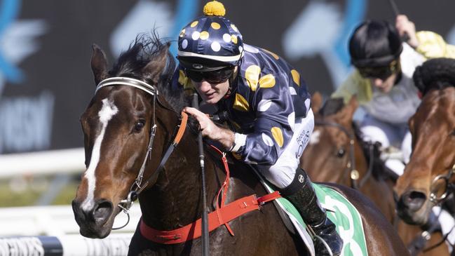 Casino Kid (Reece Jones) wins at Randwick in 2021. Picture: Getty Images