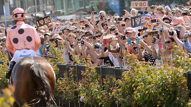 Royal farewell for turf queen Black Caviar | Daily Telegraph