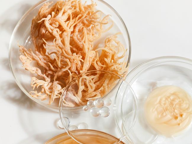 Abstract cosmetic laboratory. Nature cosmetics with sea moss. Chemical laboratory research