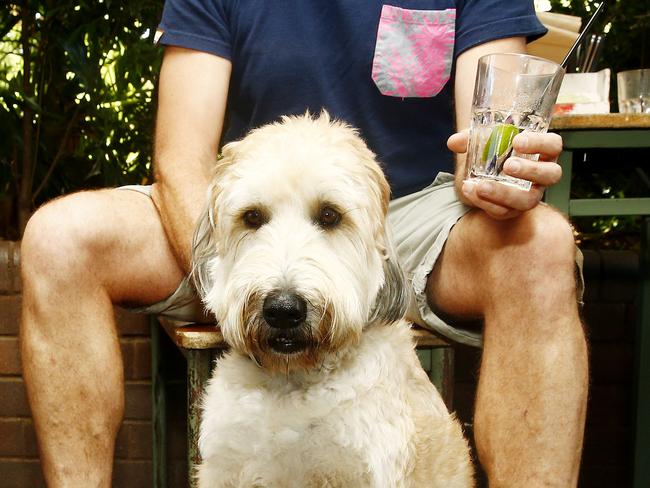 Alex Frampton with dog Oscar and Mark Waldron with dog Jamieson  at the tables out the front of  the Erskineville Hotel. Greens MP Jamie Parker has opened up a discussion about whether locals want to lobby to change state laws which prevent dogs from coming into pubs or venues with food. Picture: John Appleyard