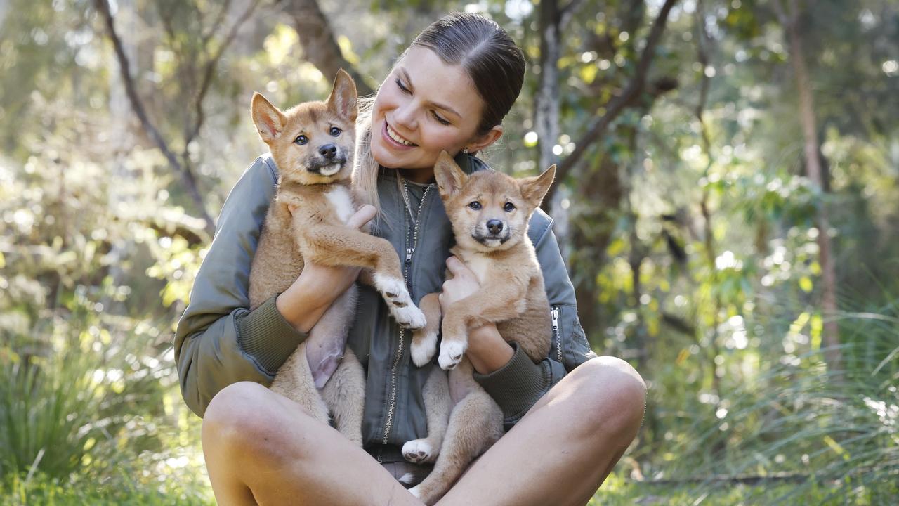 Australian Reptile Park mammals keeper Imogen Melder with Bandit and Bluey. Pictures: Richard Dobson.