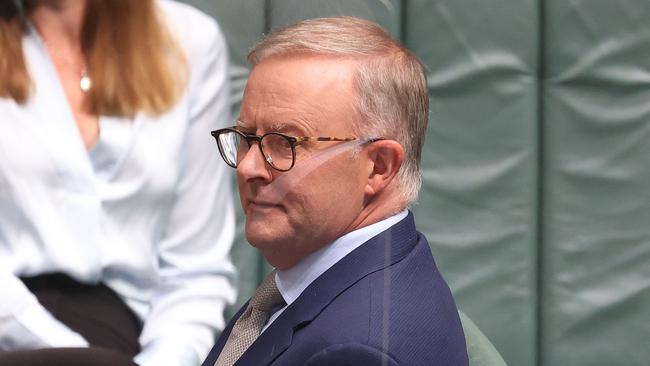 Labor leader Anthony Albanese. Picture: Gary Ramage