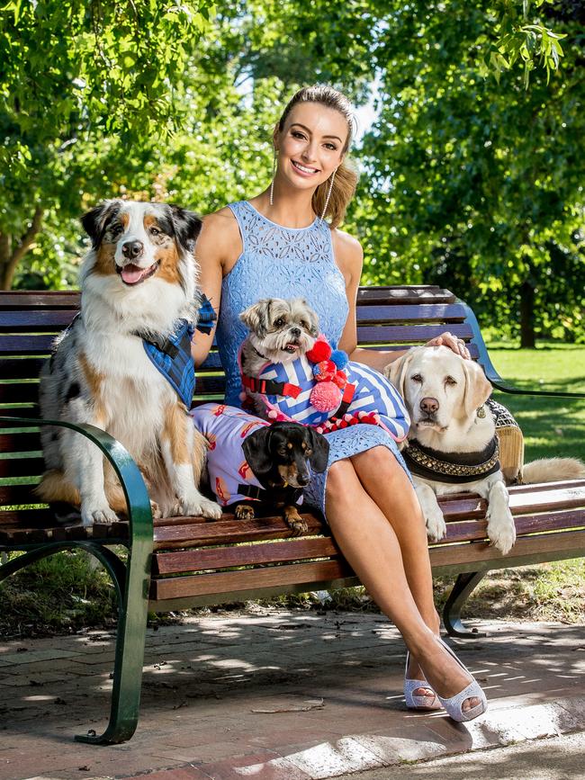 Model Alex Hecker with Bently, Harry, Willow and Maisey in designer outfits. Picture: Tim Caraffa