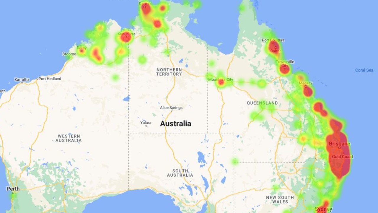 Cane Toads Gross Animal Toxic Pest Spreading In Australia