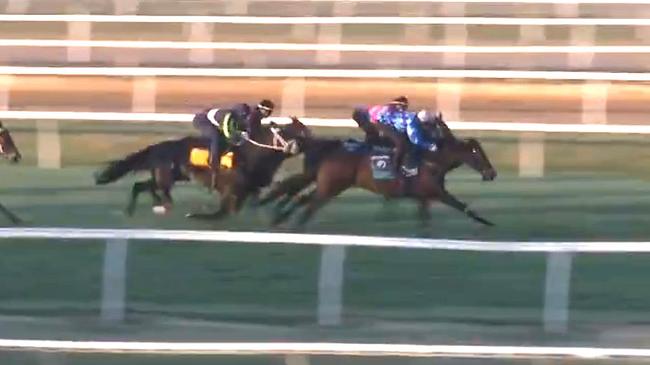 Pride of Jenni shades Antino in their Cranbourne jumpout on Monday. Picture: Screengrab