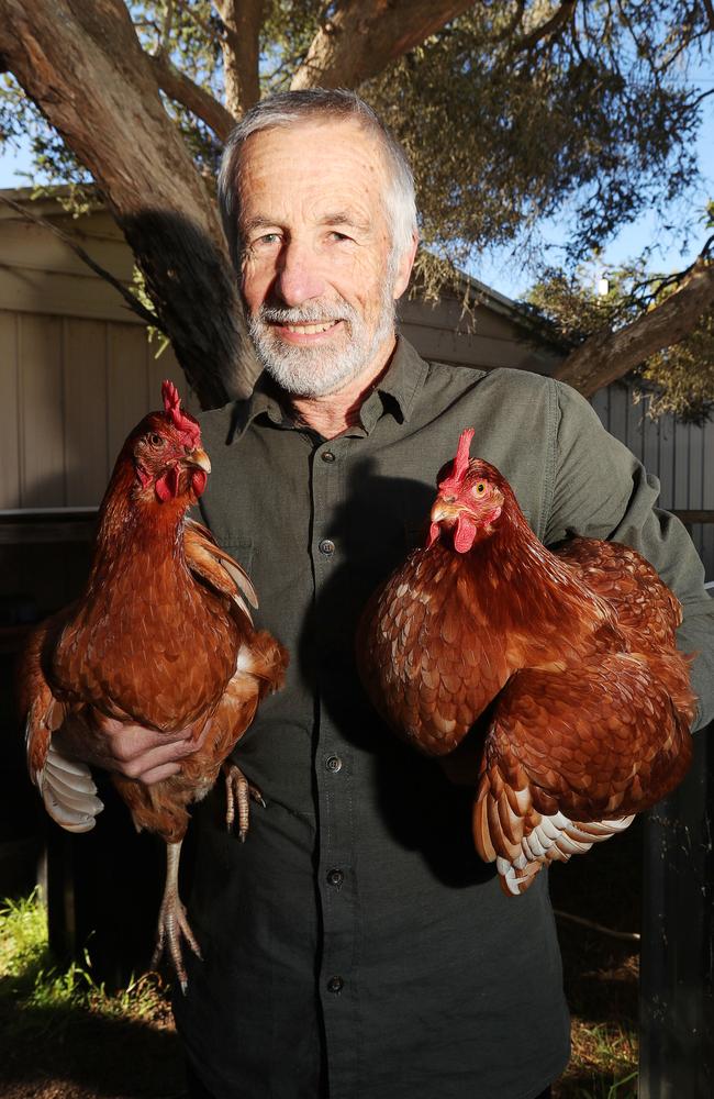 Daryl Backwell with his and his wife Diana's two chooks. Picture: Alan Barber