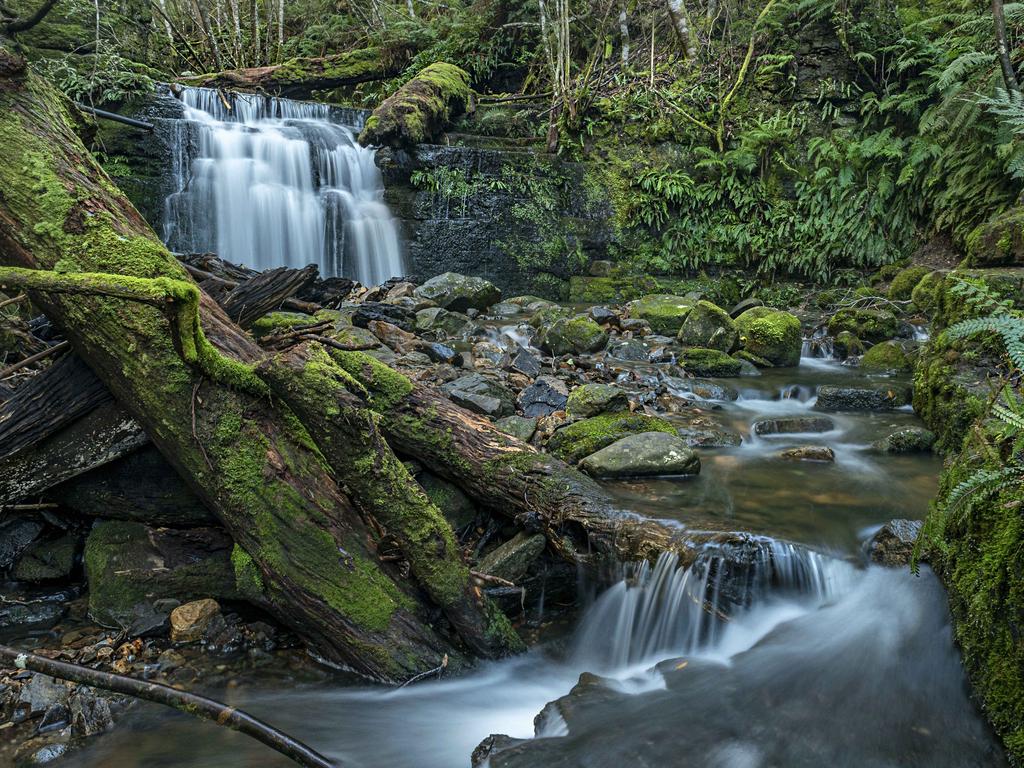 Your Focus on Tasmania. Strickland Falls South Hobart. Picture: Ron Rainbow ***ONE TIME USE ONLY***