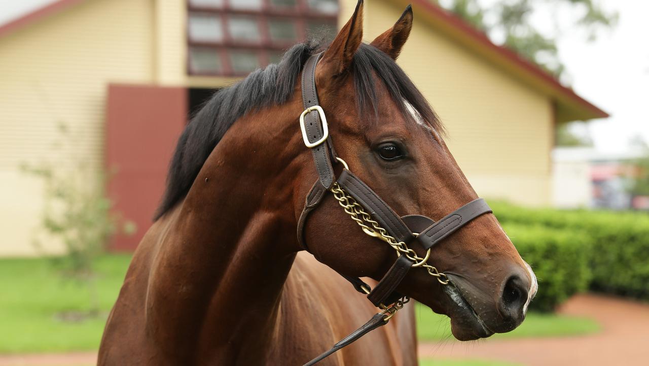 Racehorse stallions an increasingly popular investment | The Australian