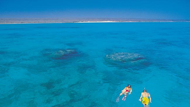 <s1>Federal government plans have sparked concerns about the future health on Ningaloo Reef. </s1>                        <ld pattern=" "/>                        <source>Picture: TOURISM WA</source>                                             <source/>