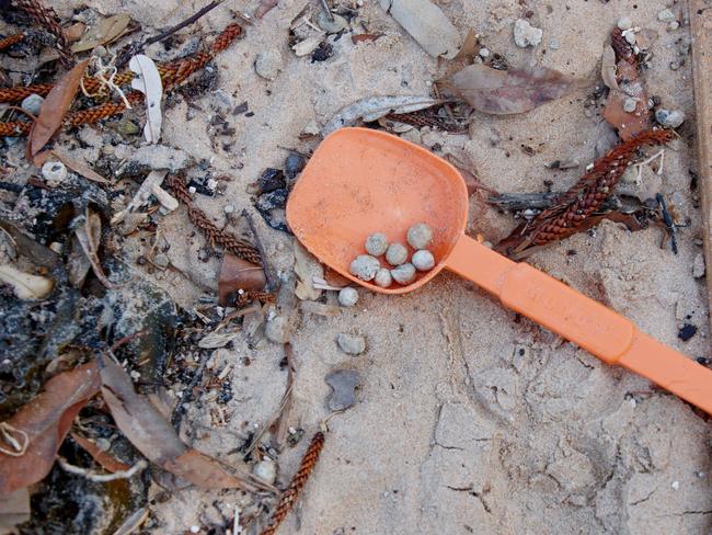 Balls on Dee Why Beach on Tuesday afternoon. Picture: NewsWire / Nikki Short