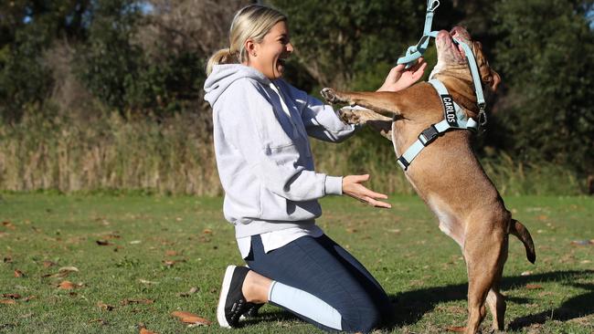 Dog Friendly Co co-founder Sandra Abade says Kmart has copied her concept for a personalised dog harness. Picture: David Swift