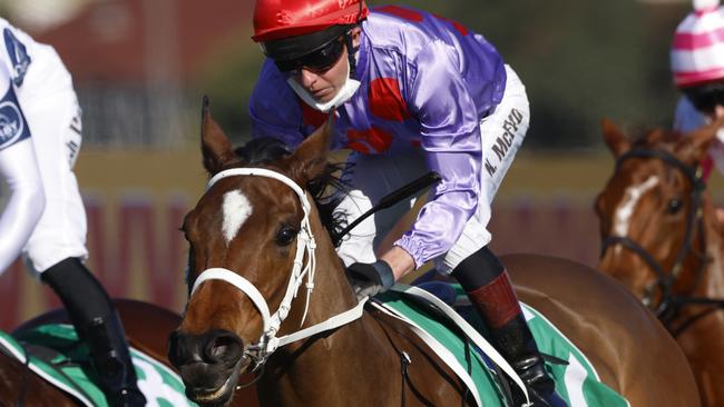 Oscar Zulu looks a good chance first-up in the Takeover Target Stakes. Picture: Getty Images