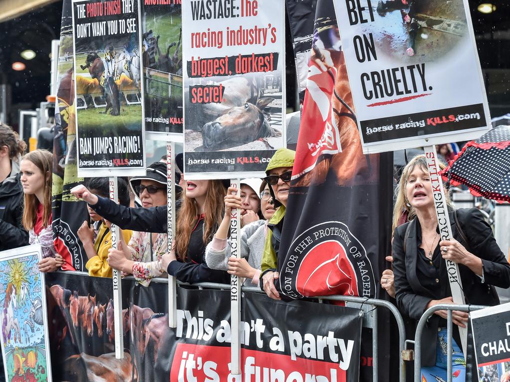 Anti horse racing activists protest the parade. Picture: Jake Nowakowski