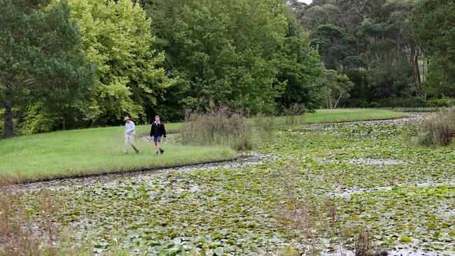 Paradise Gardens is arguably the largest private garden on the Central Coast, which hopes to host weddings and other events after the COVID-19 crisis. Picture: Sue Graham