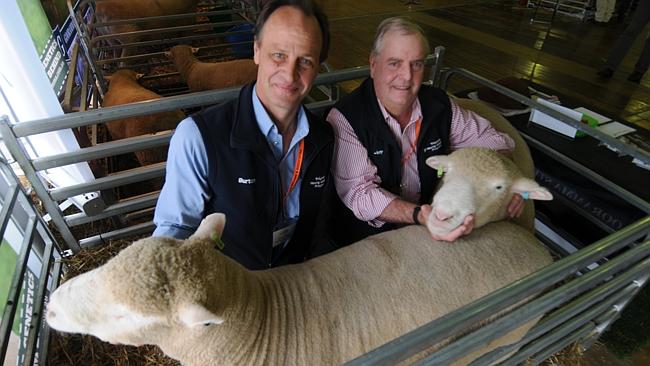 LambEx 2016 | The Weekly Times