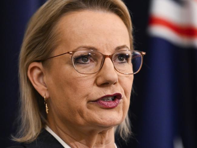 CANBERRA, AUSTRALIA  - NewsWire Photos - May 28, 2025: Leader of the Opposition Sussan Ley and Party leader of the National Party of Australia David Littleproud hold a press conference at Parliament House in Canberra Picture: NewsWire / Martin Ollman