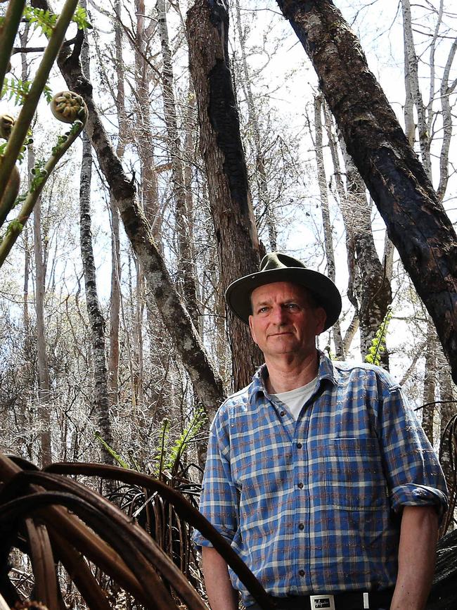 Professor David Bowman from the University of Tasmania. Picture: Chris Kidd