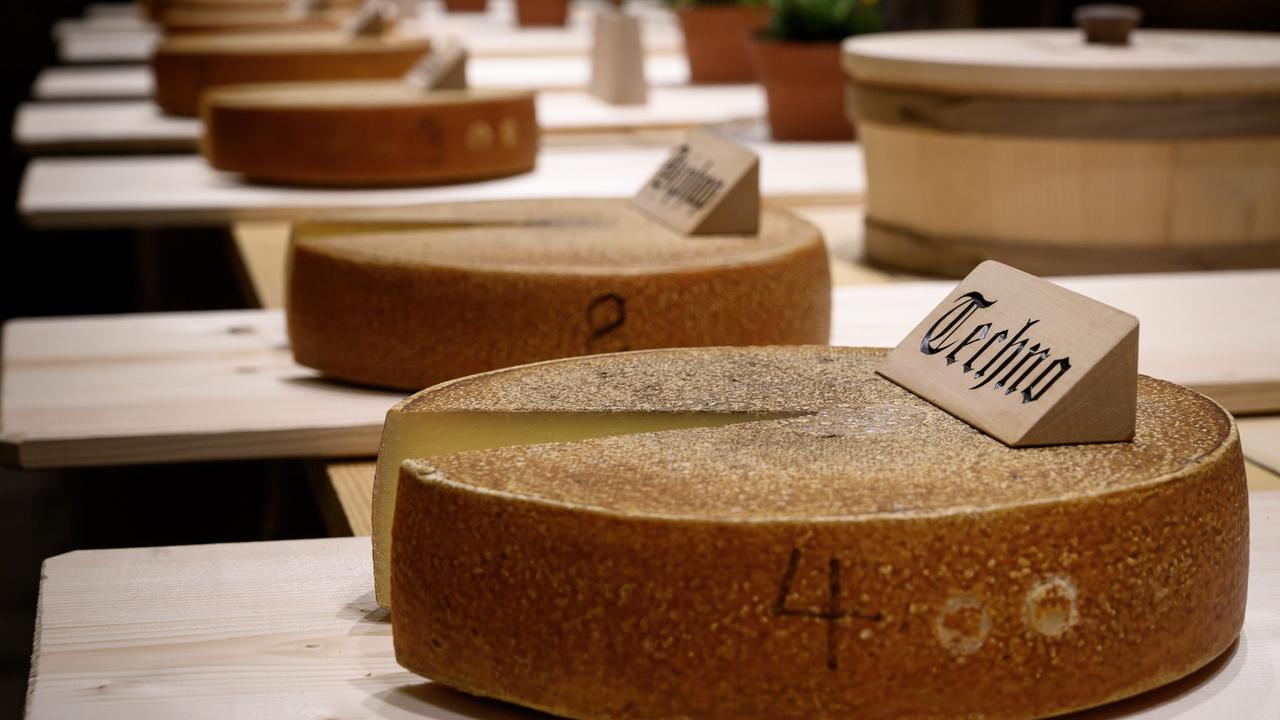 The cheeses on the final day of the experiment at Bern University of Arts, Switzerland. Picture: AFP