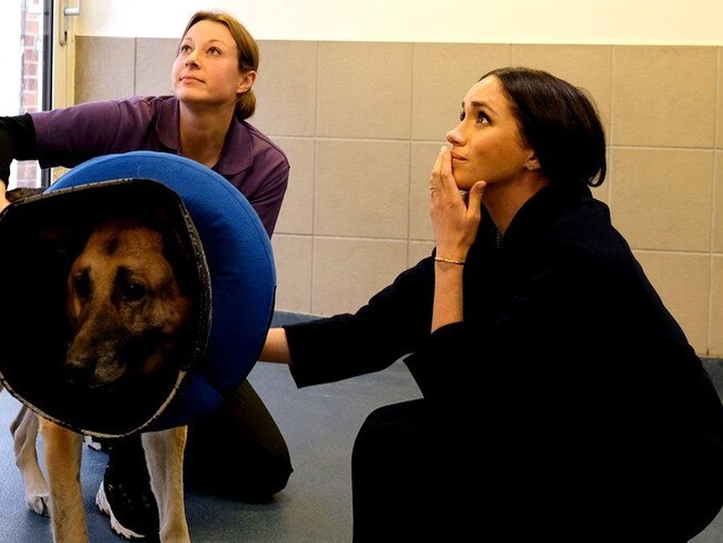 Animal lover Meghan Markle paid a visit to the Mayhew animal shelter in London. Picture: Instagram