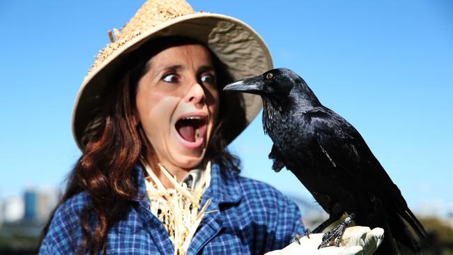 Taronga Zoo keeper/scarecrow Claudia Bianchi with Chester the raven prepares for Halloween activities at Taronga for the first time. Picture: Carly Earl