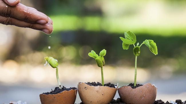 More companies are claiming to pursue ESG investing, standing for ‘environmental, social and governance’.