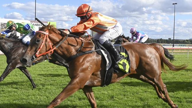 Region Time (outside) can land a deserved win at Wagga on Friday. Picture: Bradley Photos