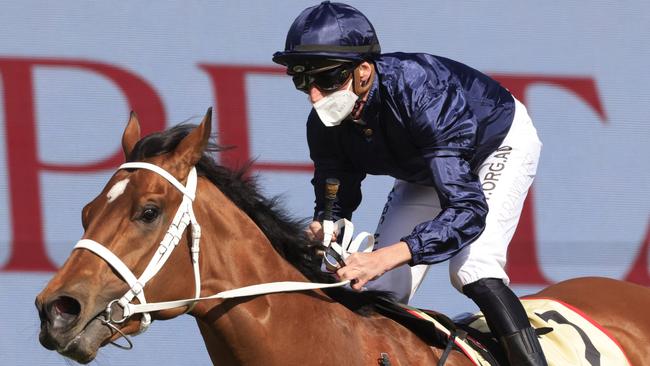 Home Affairs, the only three-year-old in the TAB Everest, firmed in the market following Tuesday’s barrier draw. Picture: Getty Images