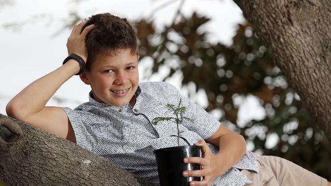 Twelve-year-old Dan Pickles is “purplifying” Macarthur one jacaranda seedling at a time. (AAP IMAGE / Carmela Roche).