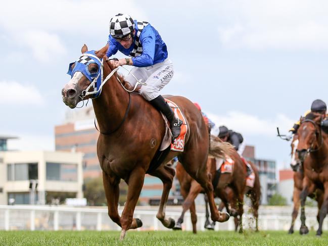 Lounge Bar Rubi should be a significant improver when he has his second-up run at Sandown on Saturday. Picture: Racing Photos.