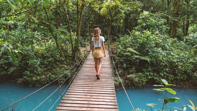 Rainforest, Costa Rica