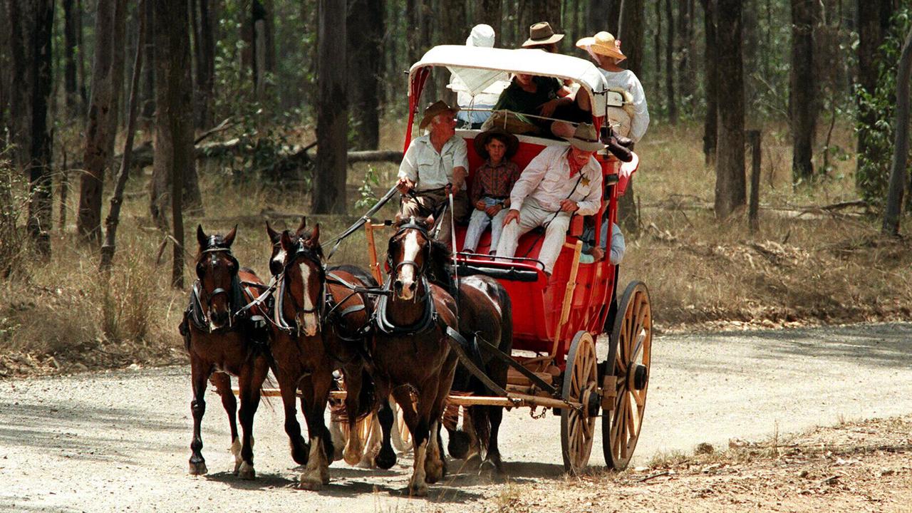 This Cobb & Co horse and coach is still used for tourists at Gympie Gold Rush, Queensland.