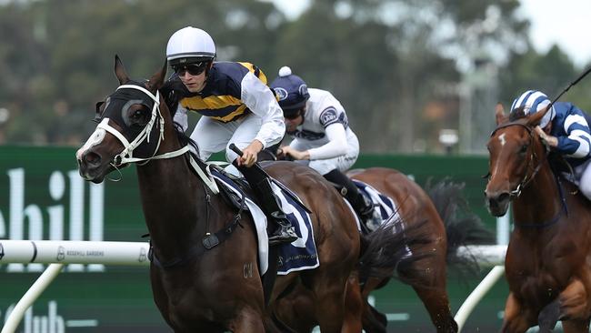 Zac Lloyd copped a five-meeting ban for his ride on Step Aside. Picture: Jeremy Ng-Getty Images.