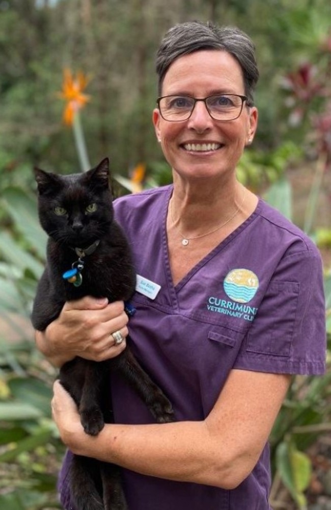 Qualified veterinary nurse and assistant practice manager Sue Botha. Picture: Currimundi Veterinary Surgery