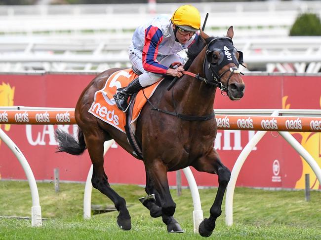 Delphi (IRE) ridden by Damien Oliver wins the Neds Herbert Power Stakes at Caulfield Racecourse on October 09, 2021 in Caulfield, Australia. (Pat Scala/Racing Photos via Getty Images)