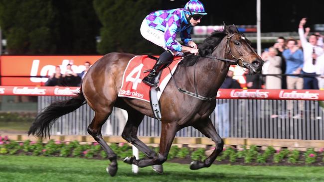 Pride Of Jenni returns to Sydney on Saturday for the King Charles III Stakes at Randwick. Photo: Brett Holburt/Getty Images.