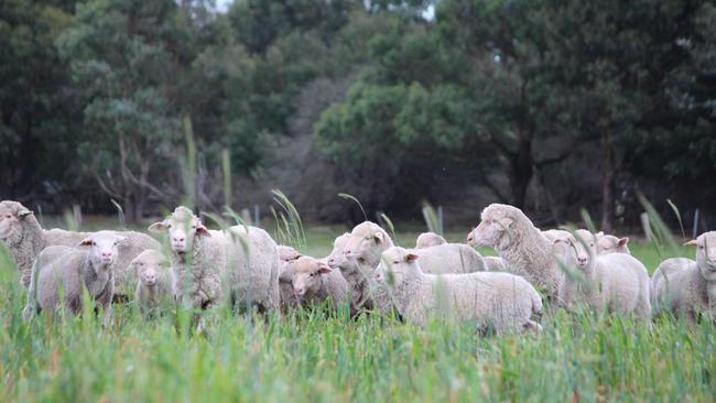 Bairnsdale farm The Weekly Times