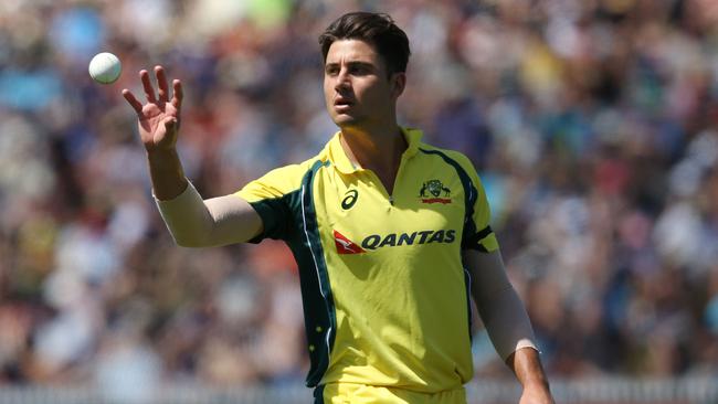 Marcus Stoinis has been called up to the Test squad.