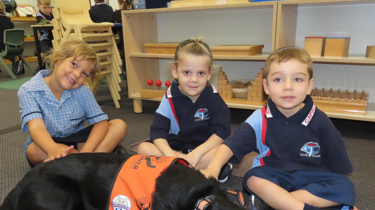 MY FIRST DAY 2024: Abby, Davi, Sofia and Koko at Capalaba State College.