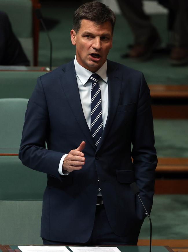 Angus Taylor will be acting Industry, Science and Technology Minister. Picture: NCA NewsWire / Gary Ramage