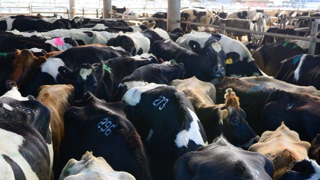 Despite coronavirus hitting the Australian economy, the dairy industry had a surprisingly successful 2020-21 financial year.