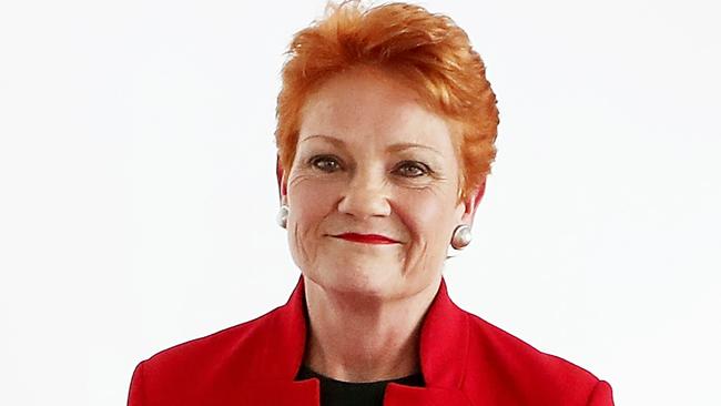 “The government gave Pauline Hanson and One Nation every opportunity to support lower taxes for Australian businesses without supporting tax cuts for the big banks,” the Treasurer said. Picture: Kym Smith