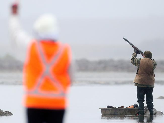 The duck shooting season opens at Lake Burrumbeet outside Ballarat. Picture: Mark Stewart