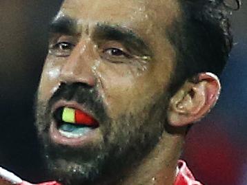 Sydney Swans' Adam Goodes celebrates a goal during AFL match Sydney Swans v Carlton at the SCG. pic. Phil Hillyard