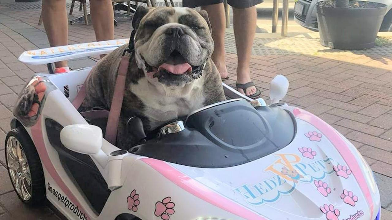 Ronnie loves going out to meet people, so has her own car to get around. Picture: Lisa Larman