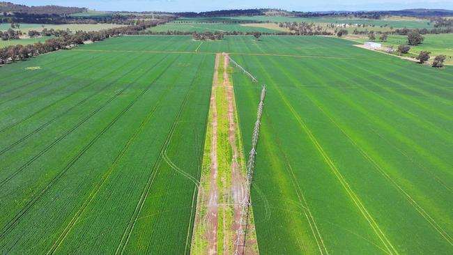 NSW agricultural investor Rob Topfer and wife Becky Sparks are selling Wagga Wagga farms Walteela and Fletchers.