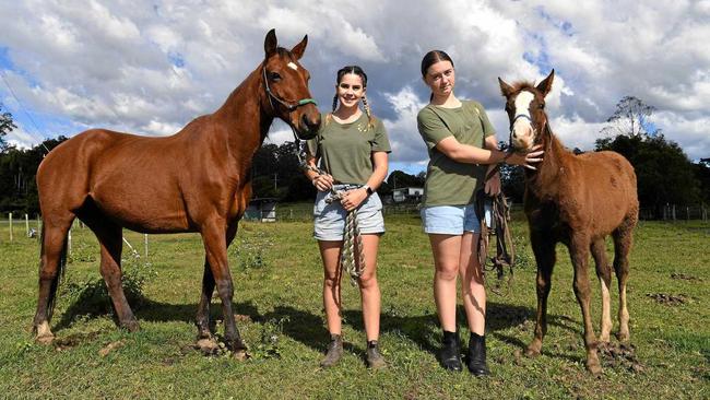 Tanesha Ashelford with Sapphire and Kylah Nunn with three month old Soraya. Picture: Warren Lynam