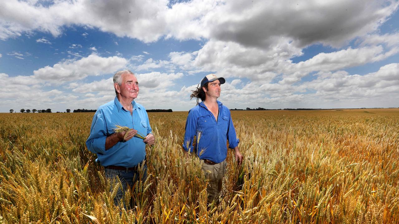 After drought and bushfires hit Australian farmers hard, strong winter rains have been a welcome relief. Picture: David Geraghty/The Australian