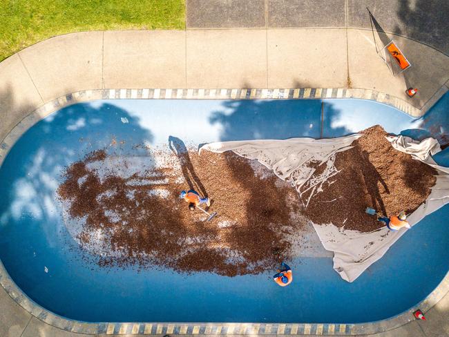 Bayside Council is filling its skate parks and bowls to stop people using them. Council workers fill the Royal Ave Skate Park in Sandringham with gravel. Picture: Jake Nowakowski